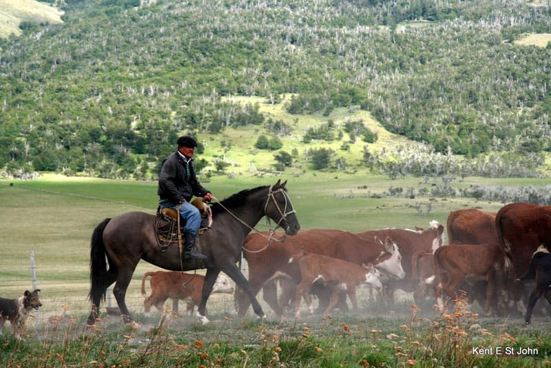 A rancher in Patagonia