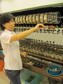 At the silk factory, you learn all about the life cycle of the silk worm.