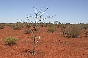 australia dry climate