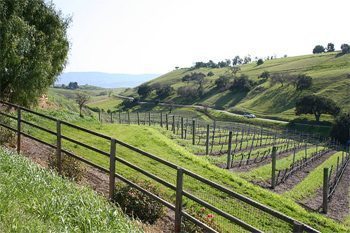Ballard Canyon, near Solvang, is a bucollic wine country drive. photos by Michael Cervin.