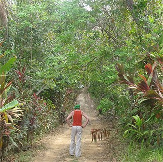 There are 12 km of trails on Isla Boca Brava