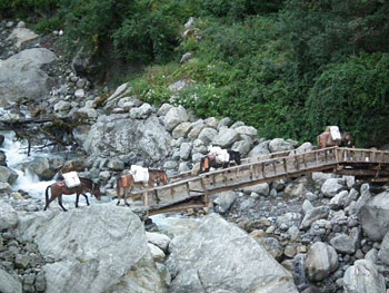 A cantilevered bridge