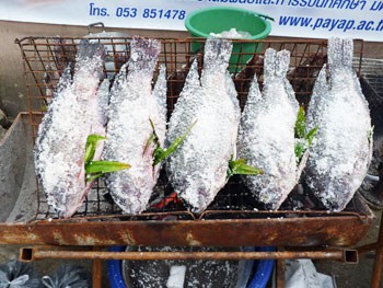 One Day in Bangkok for Less Than Ten Dollars (US) 11 Whole grilled fish roasting on a sidewalk grill