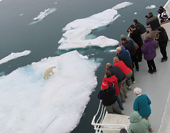 The bear was striking a pose about twenty-five feet from the ship in the Svalbard Archipelago, Norway.