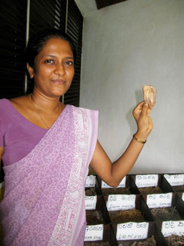 Ayurvedic Treatment in Sri Lanka: A Week of Bliss 7 Acupuncturist at Paragon