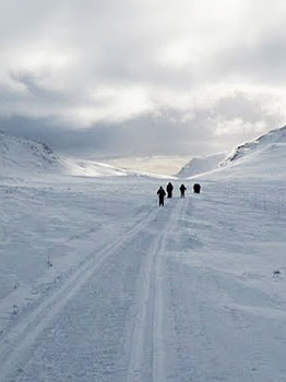 Skiers on prepared loipe in the Rondane Mountains