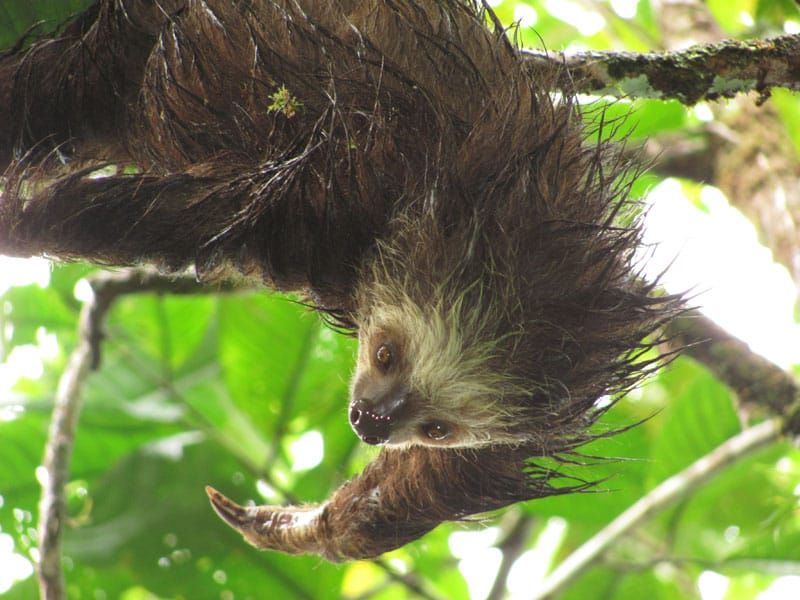 colombia's pacific coast