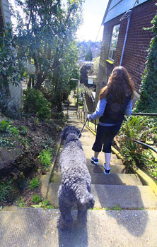 Views from the top of hidden passageways along Alameda Ridge