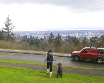 The view from Council Crest. Photos by Mark Stevenson.