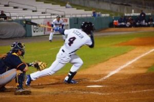 North Carolina Minor League Baseball Baseball