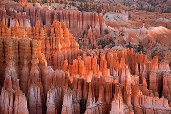 bryce canon national park