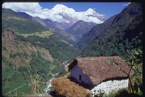 Photo Gallery: Jampaling, Nepal 2 nepal,Jampaling