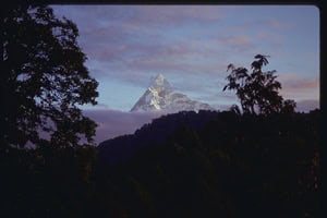 Photo Gallery: Jampaling, Nepal 4 nepal,Jampaling