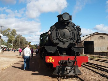 Pichi Richi Steam train.