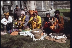 Photo Gallery: Jampaling, Nepal 3 nepal,Jampaling