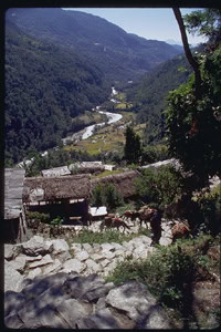 Photo Gallery: Jampaling, Nepal 5 nepal,Jampaling