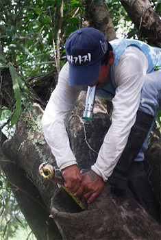 Adventure is all around you in Bolivia's Pampas 6 Finding an anaconda in a tree trunk.
