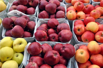 Local apples for sale at the Kamloops Farmers' Market. Photo by Robin Schroffel.