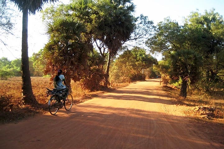 A bicyclist on the road in Auroville, India