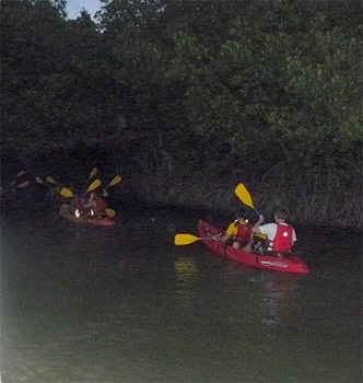 Bioluminescent Bay, Fajardo, Puerto Rico.