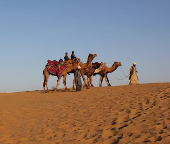 Camels and camel men at the Lakhmana Sand Dunes, Jaisalmer, Rajasthan