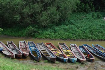 Adventure is all around you in Bolivia's Pampas 2 Canoes line up for the 3 hour motor up to the jungle lodge.
