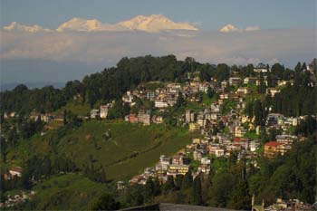 Darjeeling India: Hurry Burry Spoils the Curry