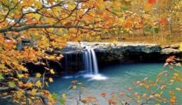 falling-water-falls