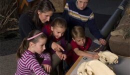 family-workshops