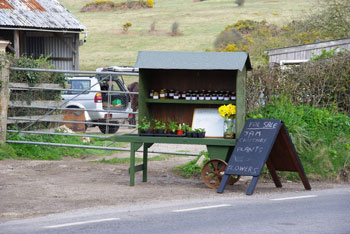 Many farms sell jams, vegetables?, plants and flowers at their gates with honesty boxes in Dorset.