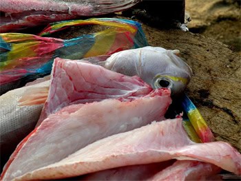 When they say "fresca" they mean it. Photo: CanoaThrills.com