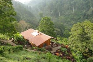 TAMF in Nicaragua: Teach a Man To Fish jungle-hut