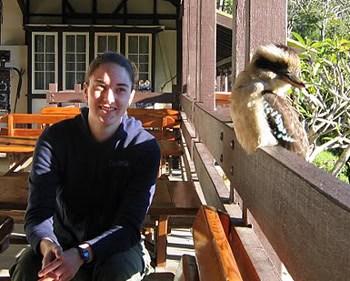 Pittwater, Australia: Kayak, Hike and Enjoy Nature 6 A kookaburra keeping me company at lunch time on the veranda