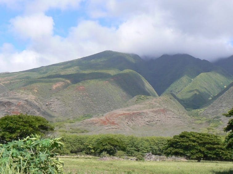 Molokai, Hawaii's Almost Empty Island 3 Molokai Hawaii's rolling green mountainsides.