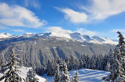 Whistler