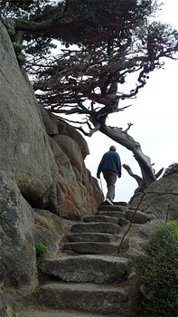 Point Lobos hiking trails.