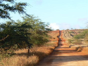 Molokai, Hawaii's Almost Empty Island 5 The road past the former Molokai Ranch to Dixie Maru Beach.