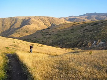 Santa Cruz Island, Channel Islands, California. photo by Will McGough.