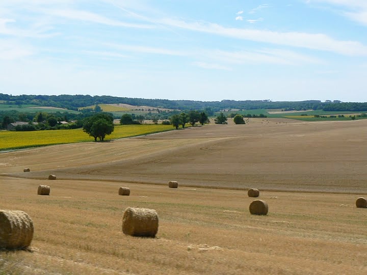 Rolling hillside of Southwestern France's Dordogne region. photo by Max Hartshorne.