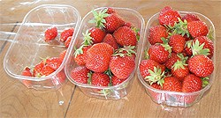 Three varieties of French strawberries.