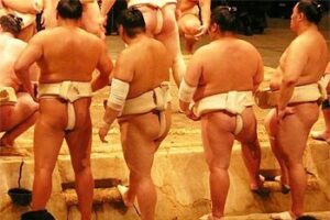 Japan's Goodwill Guides: Personal Tours For Language Help sumo-wrestlers