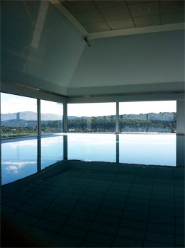 Infinity pool at the Zurich Swisshotel.