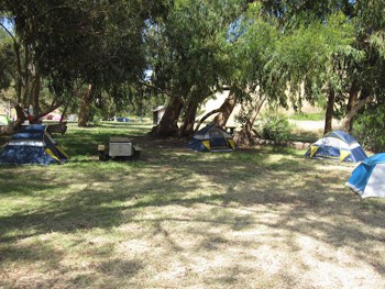 Tent sites at Santa Cruz island, Channel Islands, CA.