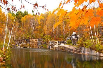 vermont foliage