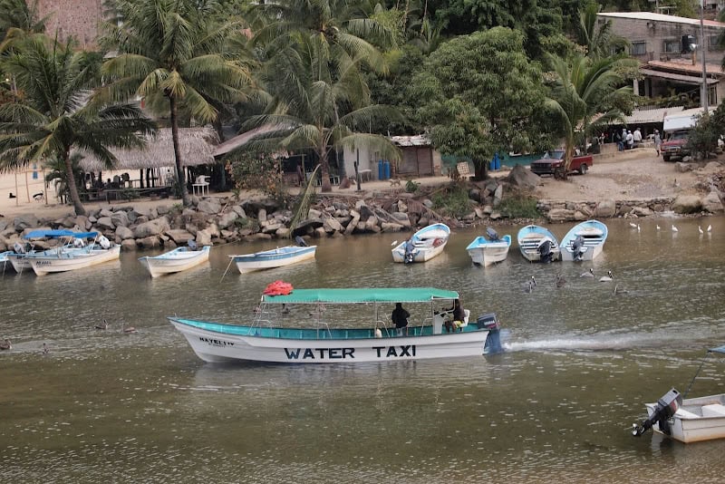 Water taxi passing by on the Rio Horcones, a familiar site up on the balcony of the Casa on Mexico's Pacific coast.