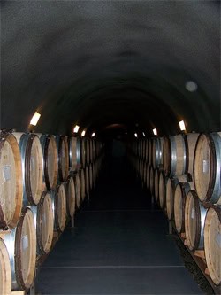 Archery Summit wineyard.