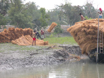 Buying hay after Aila