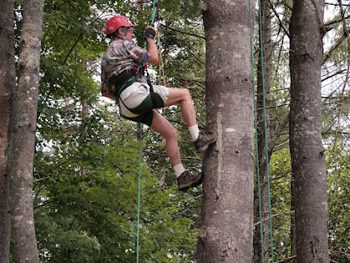 Climbing a pine tree with Twin Pines Recreational Tree Climbing in Danville, VT. photos by Max Hartshorne.