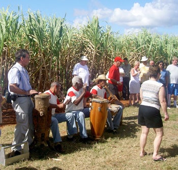 Dancing in the sugar cane fields at the Taino Village Cuba.