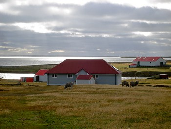 Falklands ranch and guest house.